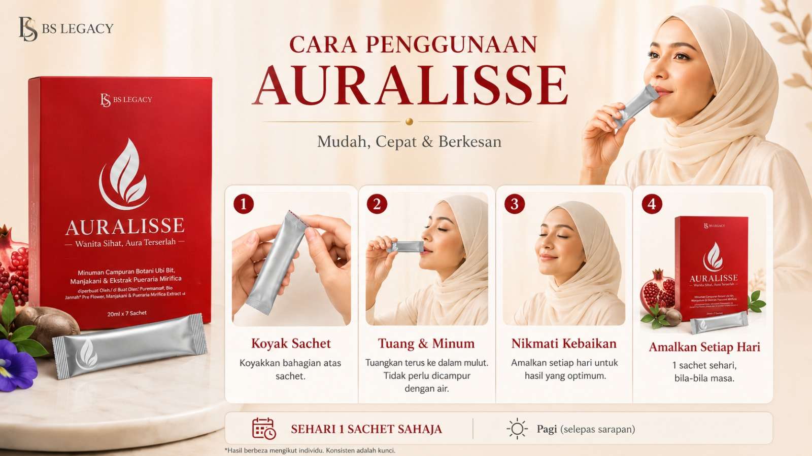 Cara Penggunaan Auralisse